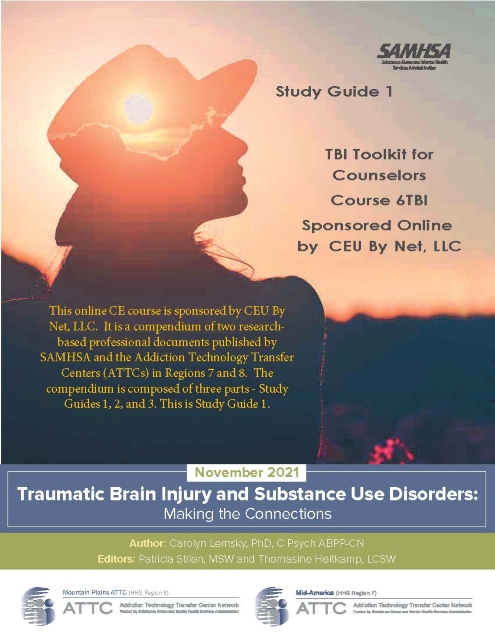 TBI Toolkit for Counselors